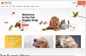 small website design